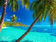 Lagons d’exception en Polynésie