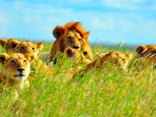 Voyage sur-mesure africa